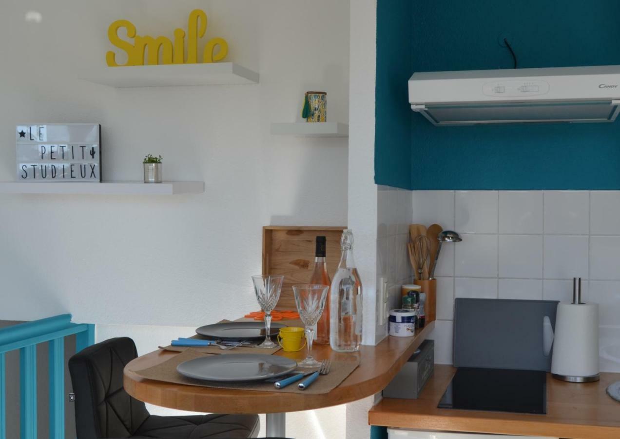 Le Petit Studieux - Parking - Animaux Acceptes - Centre Ville Accessible A Pied Albi Exterior foto